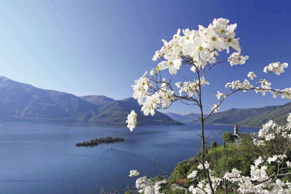 Ticino: Lago Maggiore © swiss-image.ch