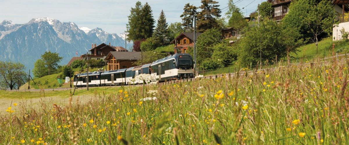 GoldenPass MOB Panoramic new ©AKE Archiv