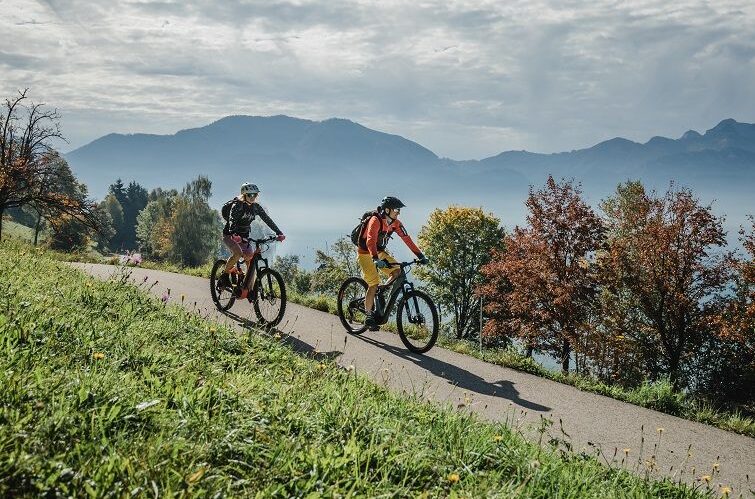Radfahren-am-Attersee_©-Salzkammergut-Tourismus-Katrin-Kerschbaumer