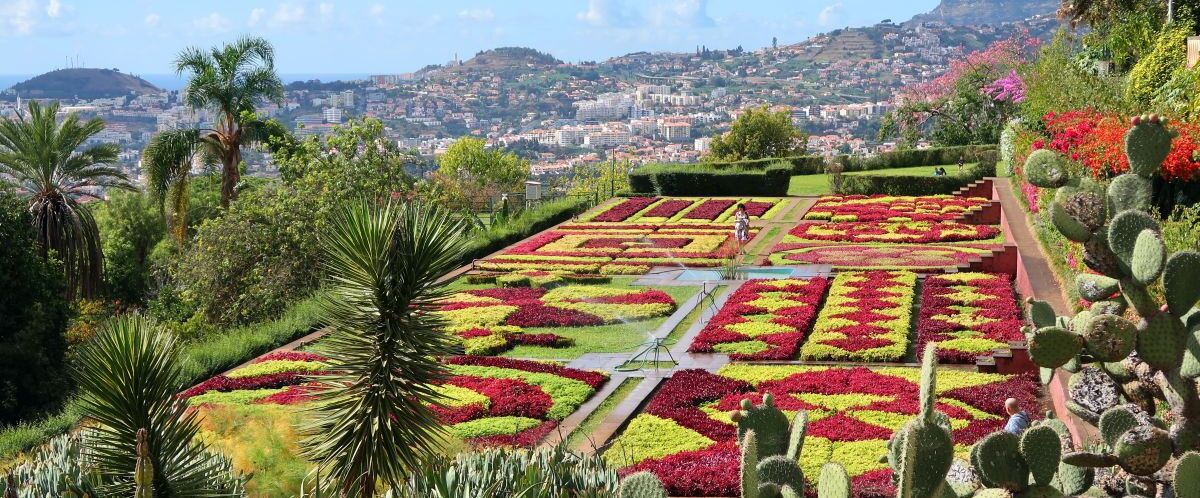 Madeira_Funchal-3355639_© pixabay.com