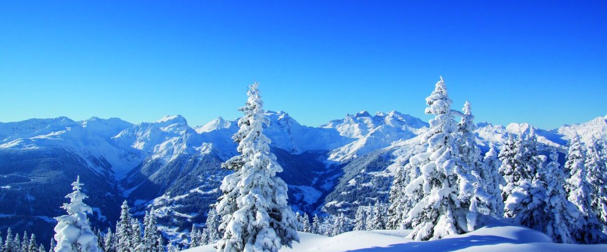 F_49478264_XXL_Netzer Johannes_Berge_Alpen_Winter
