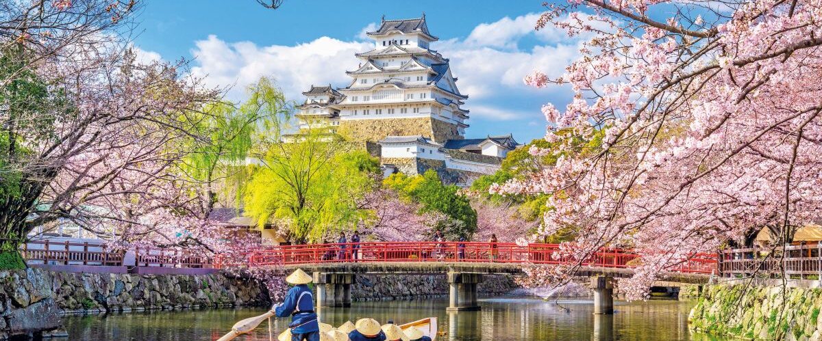Himeji castle and cherry blossoms in spring, Japan.