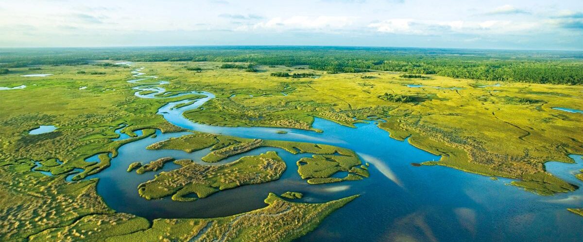 Everglades-Nationalpark_GettyImages-86525823_Jupiterimages