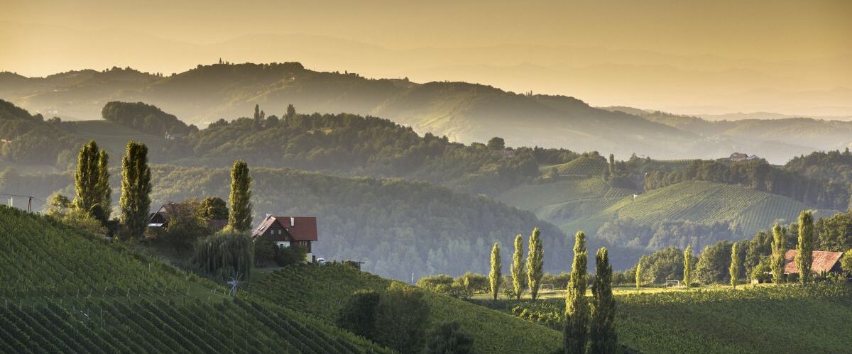 Südsteiermark