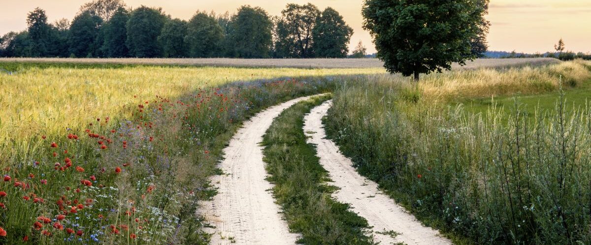 Landschaft Polen Masuren