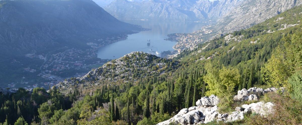 Kotor