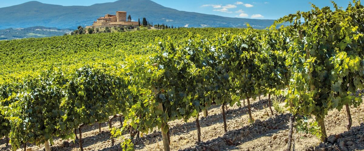 Weinregion Spanien