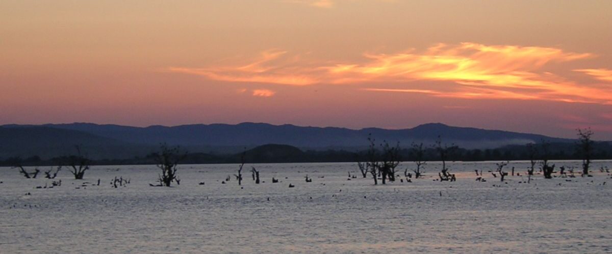Donau Abendstimmung