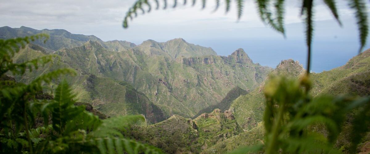 View,On,Nationalpark,Anaga,In,Tenerife,,Spain,While,Hiking,Near
