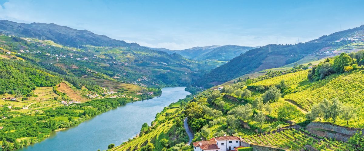 Landscape of the Douro river regionin Portugal - Vineyards