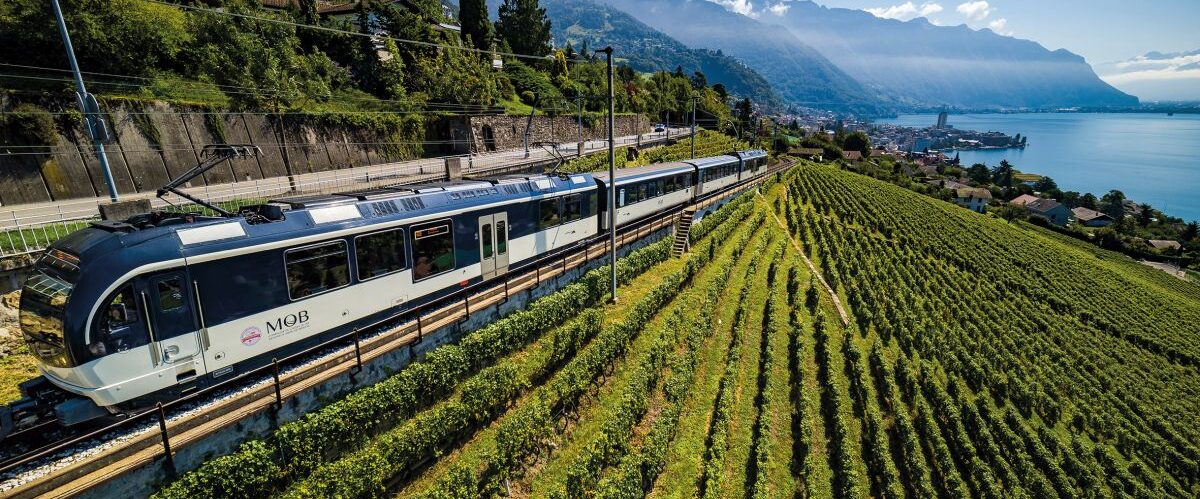MOB GOLDENPASS