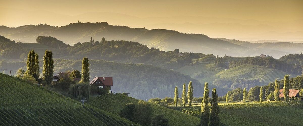 Südsteiermark