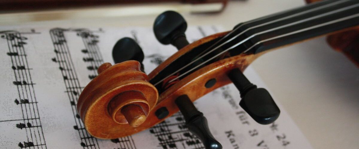 pixabay_Wolfgang Gerth_Violine