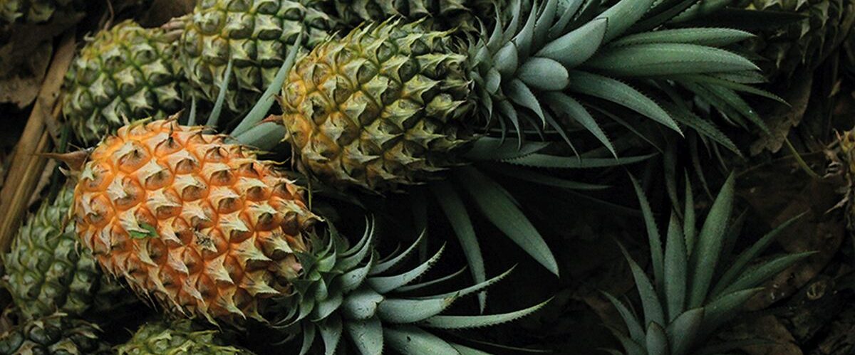Pixabay_©senjakelabu29_Ananas